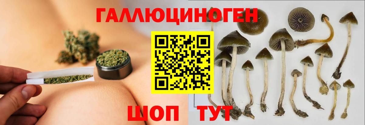 Новомосковск  Псилоцибиновые грибы ЛСД  Галлюциногенные грибы Psilocybine cubensis  Вход с VPN 
